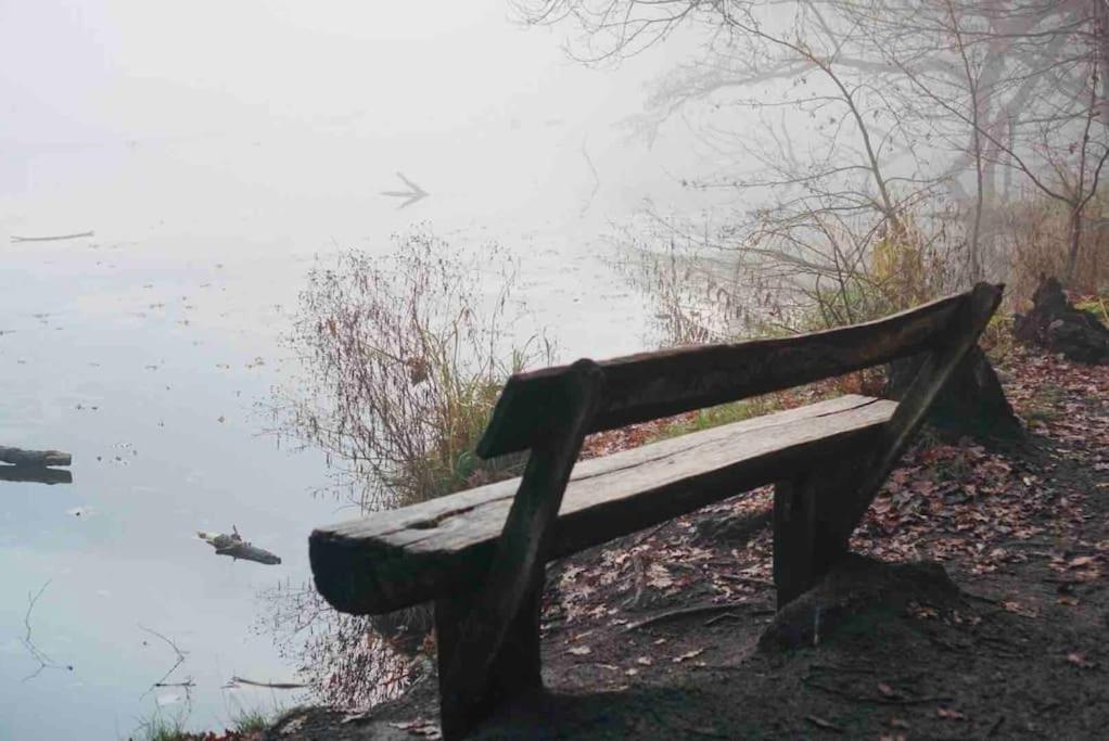 Dachwohnung Mit Wasserblick Und Eigenem Bootssteg Berlin Luaran gambar